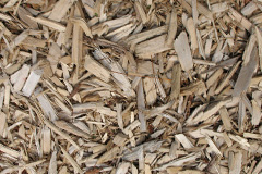 biomass boilers Coilleag