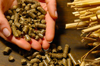 free Coilleag biomass boiler quotes